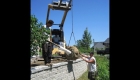 11-Large tree planting (5)