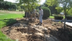 2-transplanting spruce tree (2)