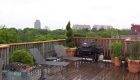 3-Beacon Street Boston rooftop garden (3)
