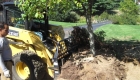 3-transplanting spruce tree (3)