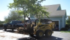 5-transplanting spruce tree (5)
