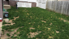 51-Unilock Umbriano pavers with Estate wall. Granite steps, under cap lighting, planting and firepit (3)