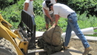 8-Large tree planting (2)