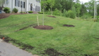 Compost-topdressing-lawn-renovation-2