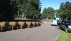 Large rolls of sod and soil renovation using compost (3)