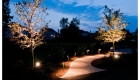 Path Lighting (3)