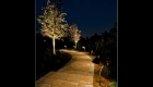 Path Lighting (6)