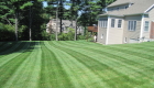 Weekly-lawncare-1