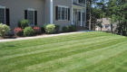 Weekly-lawncare-3