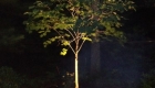 up lighting (1)