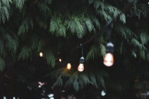 Landscape Lights