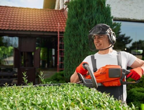 Seasonal Landscaping Tips for a Beautiful Year-Round Yard