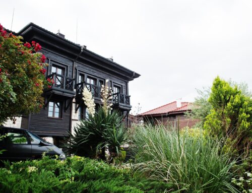 Seasonal Landscaping Tips for Year-Round Beauty