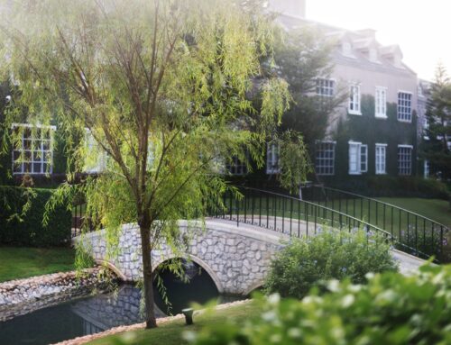 Sustainable Landscaping Solutions for Eco-Friendly Yards