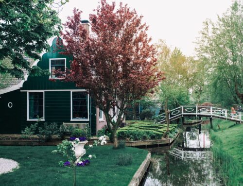 Transform Your Outdoor Space with Professional Landscaping Services